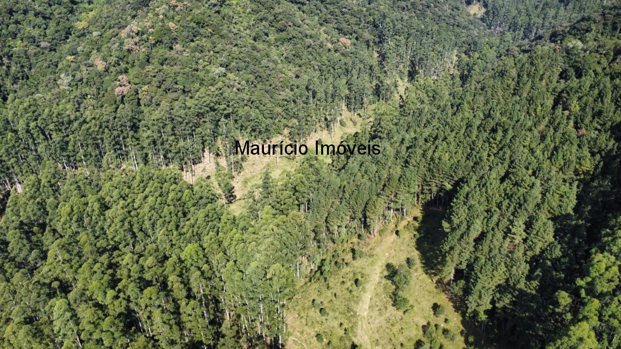 Fazenda, 250 m² - Foto 68