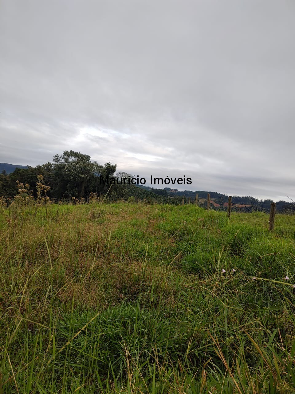 Fazenda, 5 m² - Foto 7