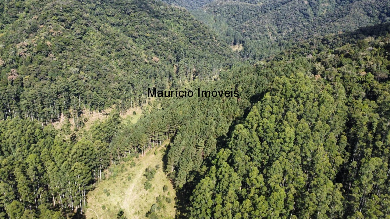 Fazenda, 250 m² - Foto 74