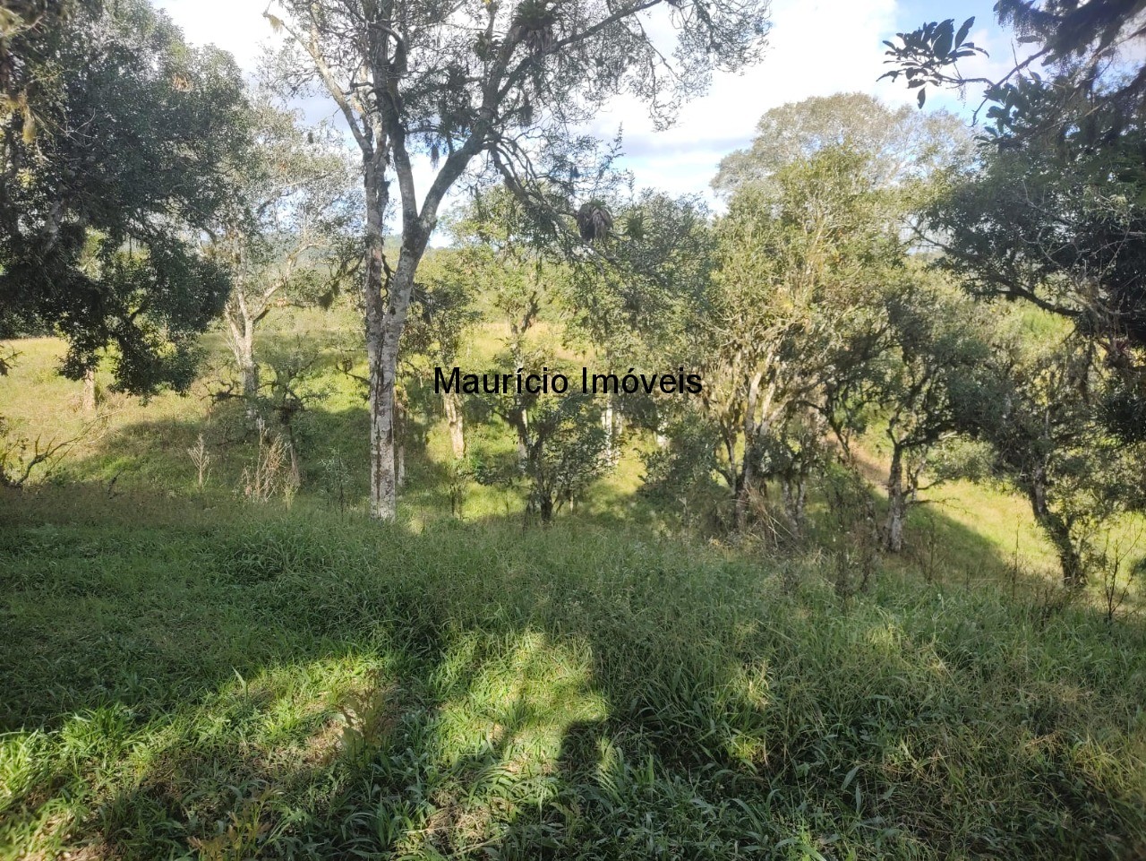 Fazenda, 3 m² - Foto 27