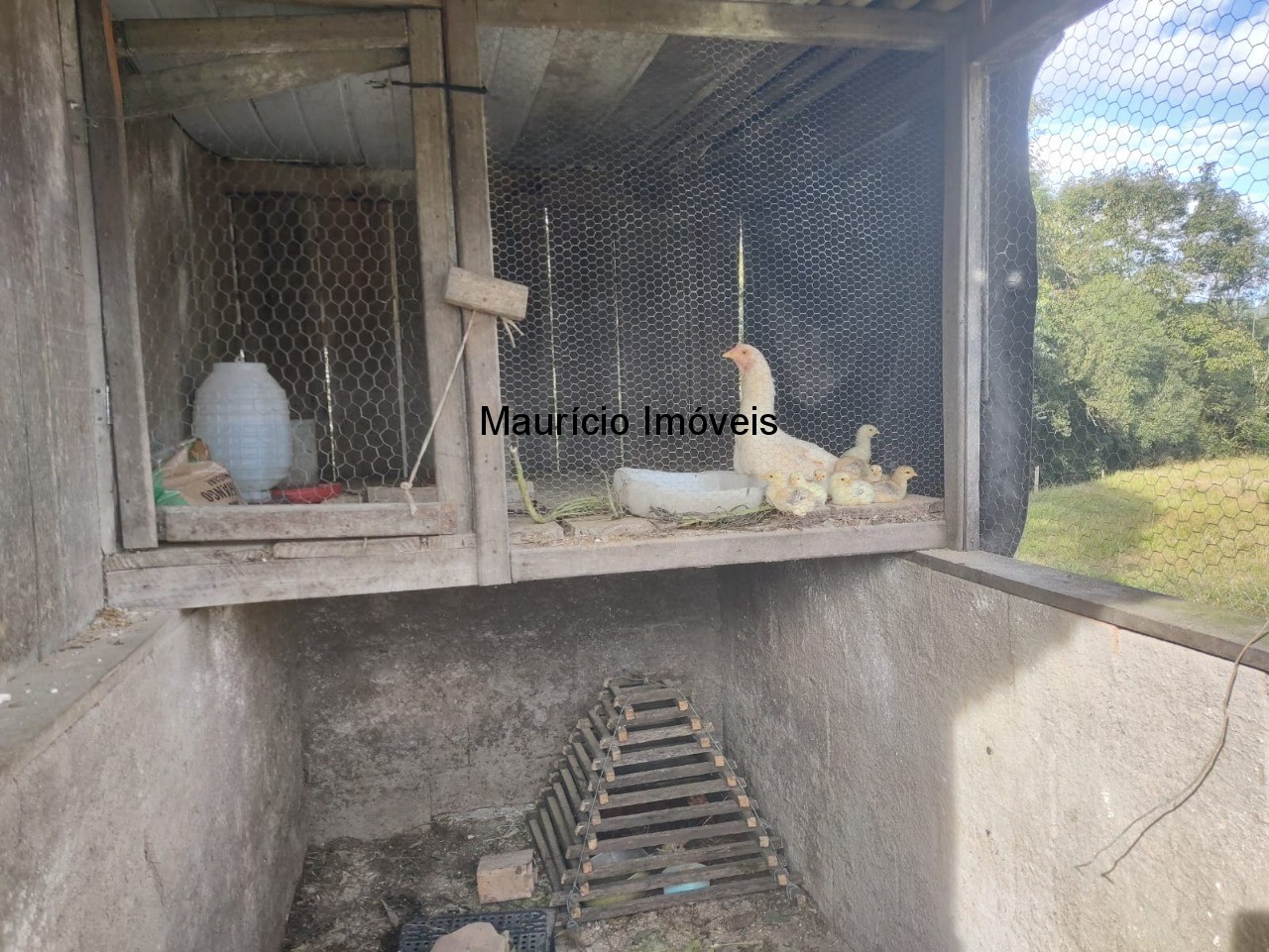 Fazenda, 3 m² - Foto 10
