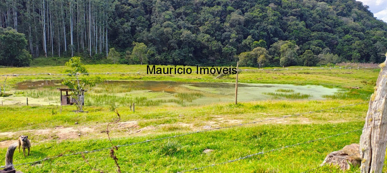 Fazenda, 250 m² - Foto 38