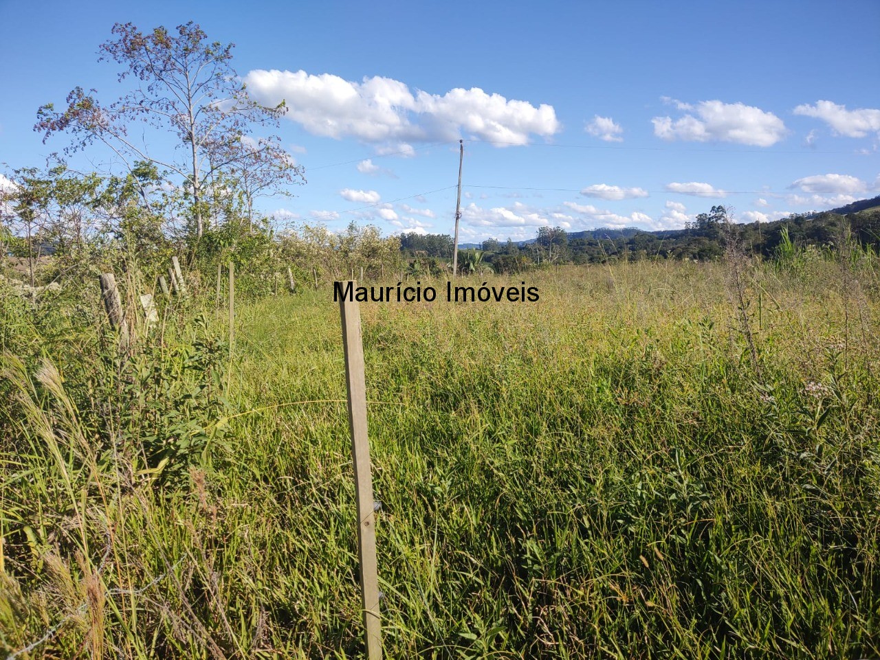 Terreno, 3055 m² - Foto 5
