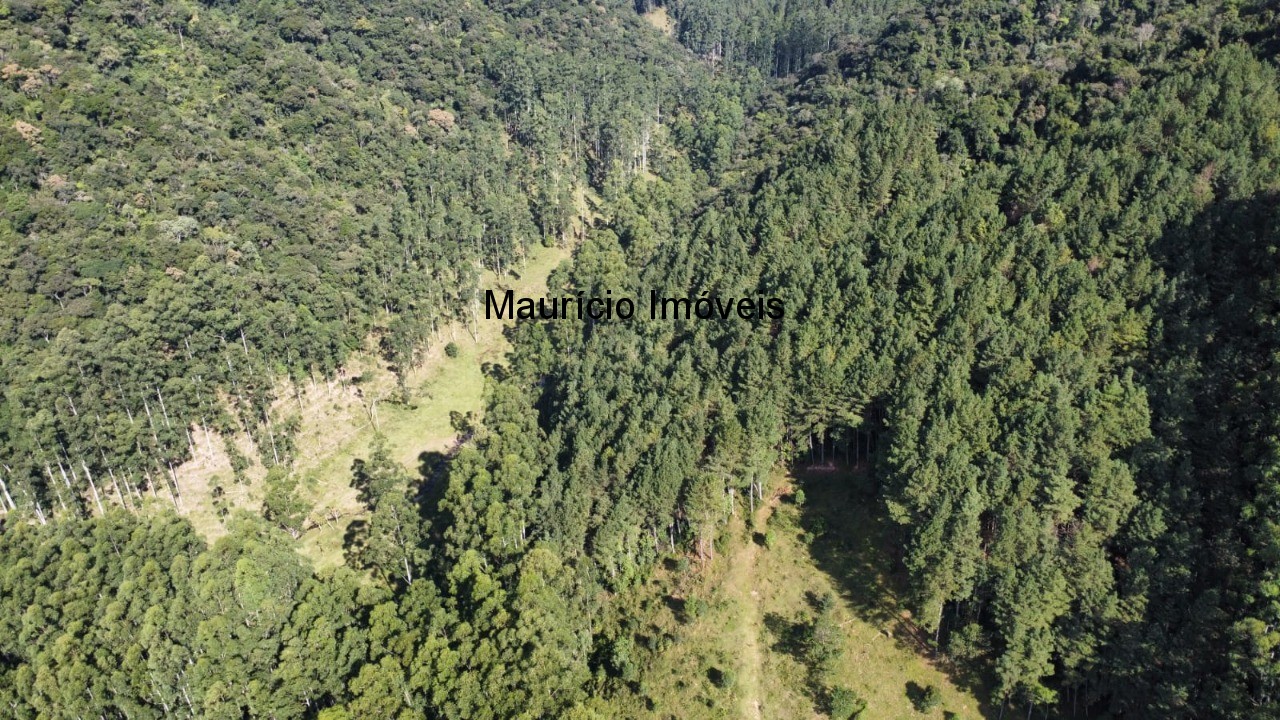 Fazenda, 250 m² - Foto 82