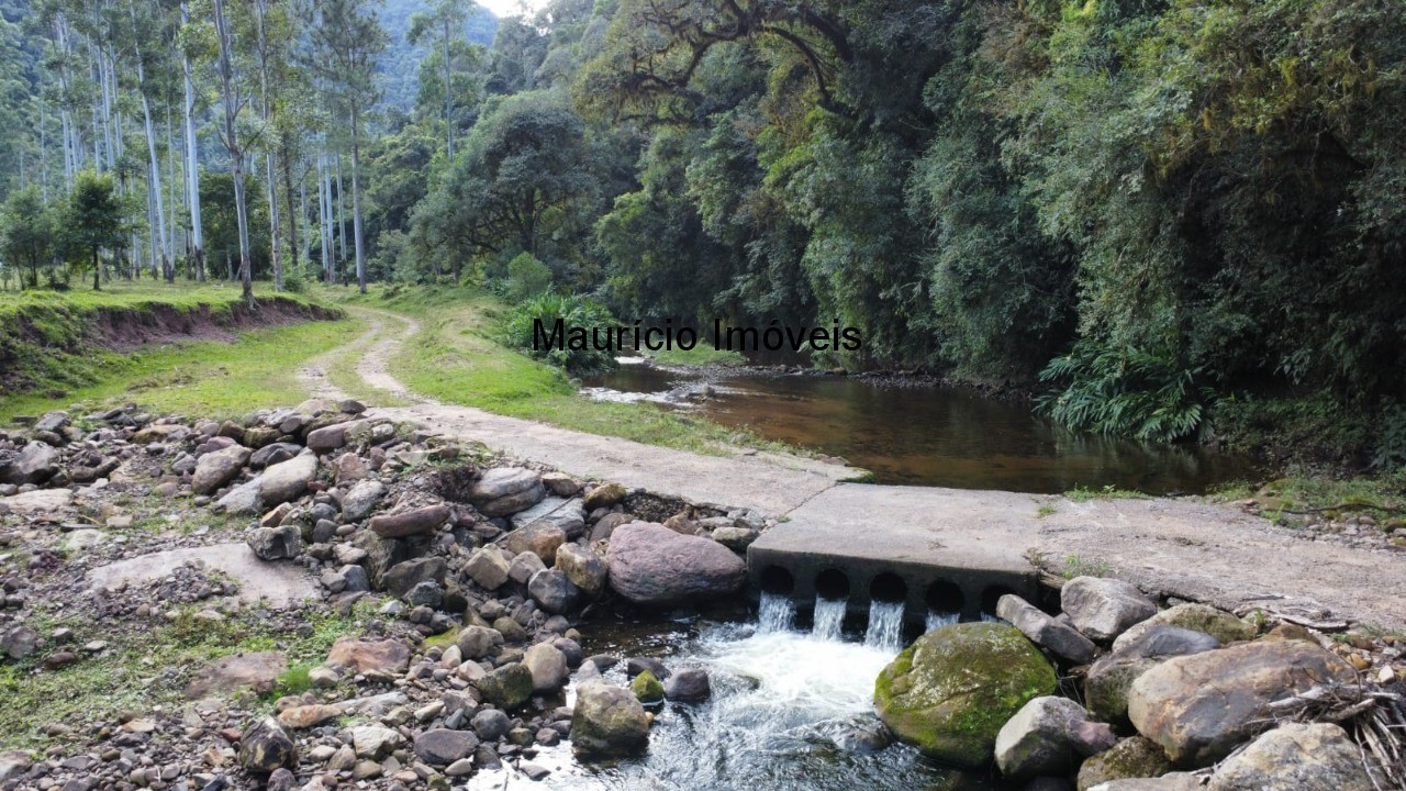 Fazenda, 250 m² - Foto 1