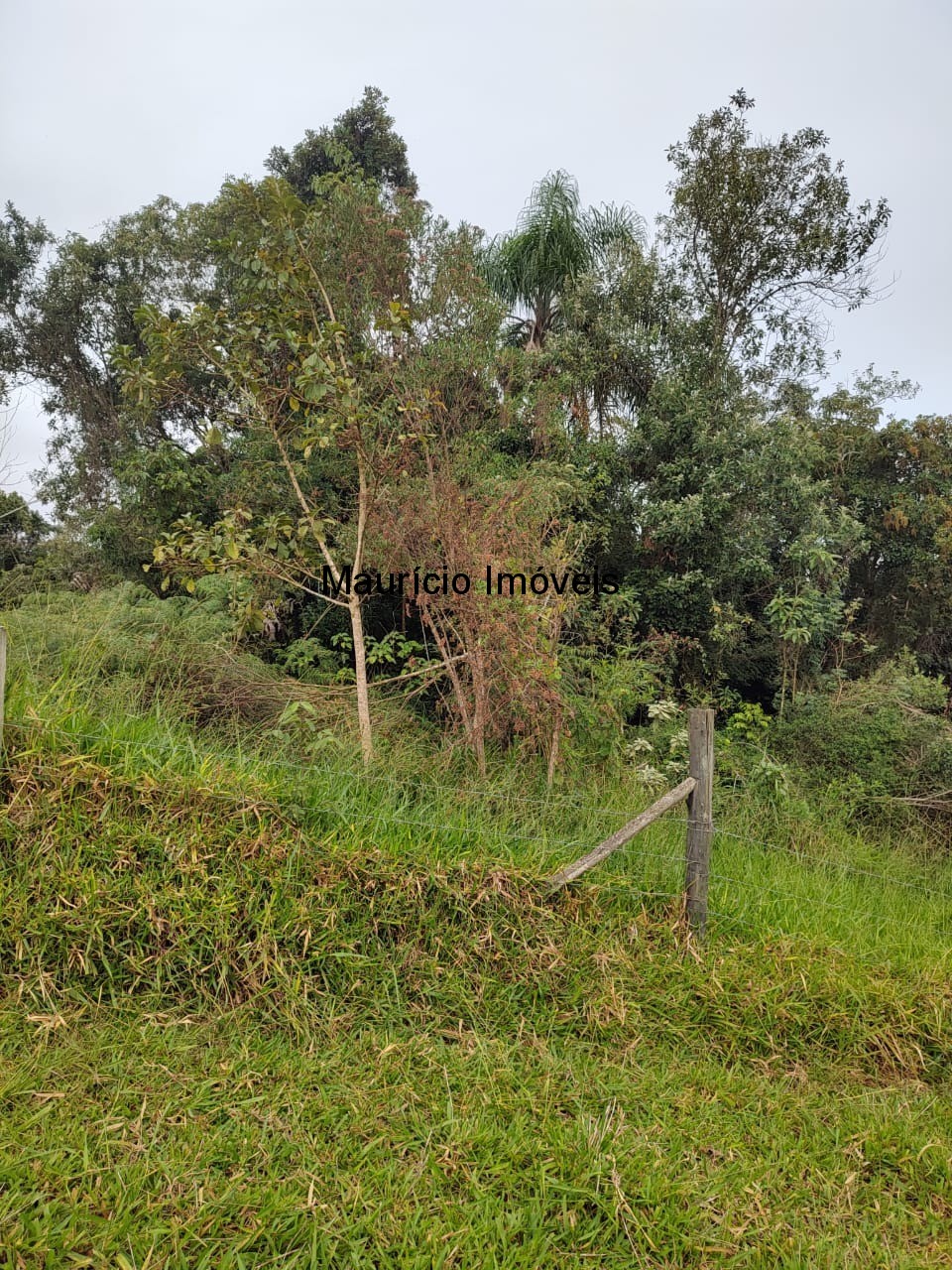 Fazenda, 5 m² - Foto 2