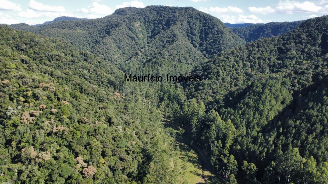 Fazenda, 250 m² - Foto 75
