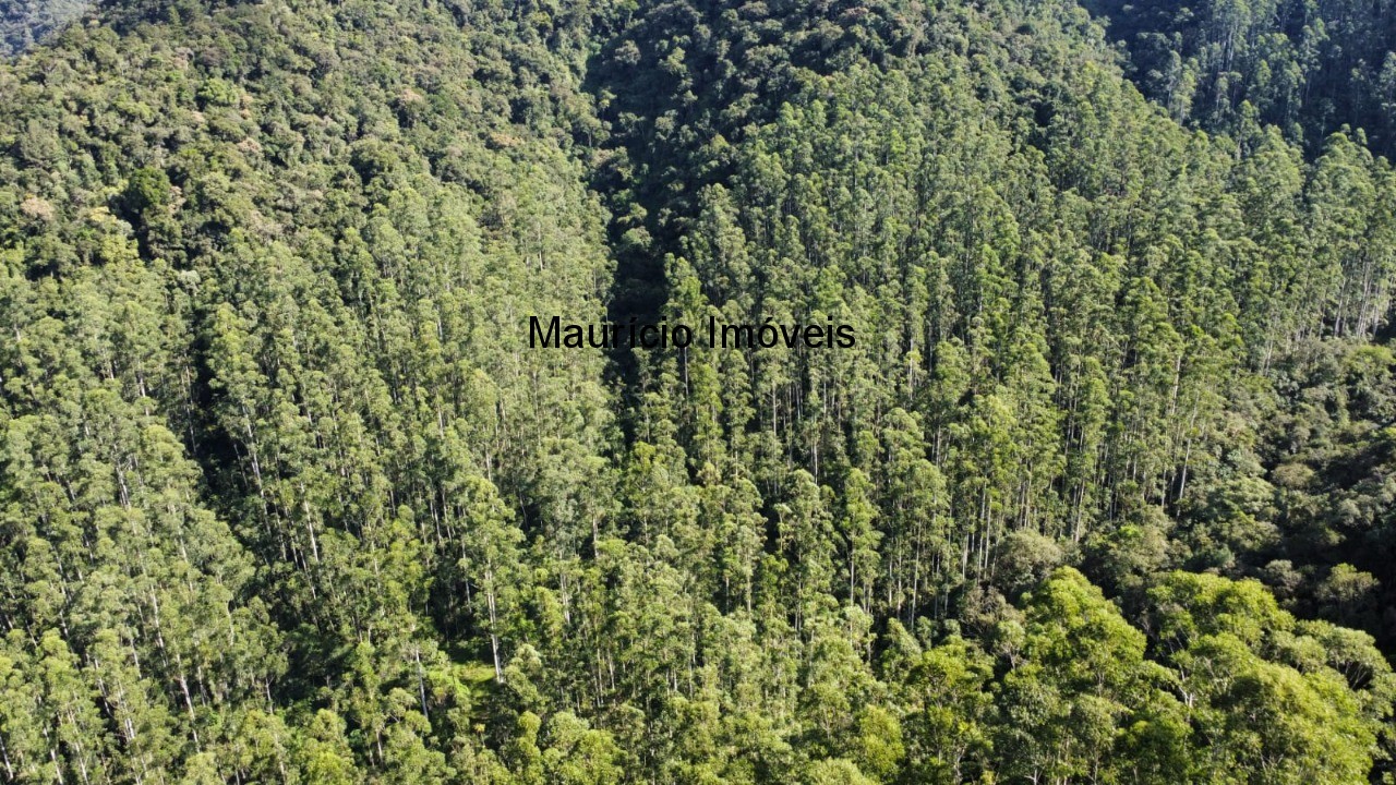 Fazenda, 250 m² - Foto 63