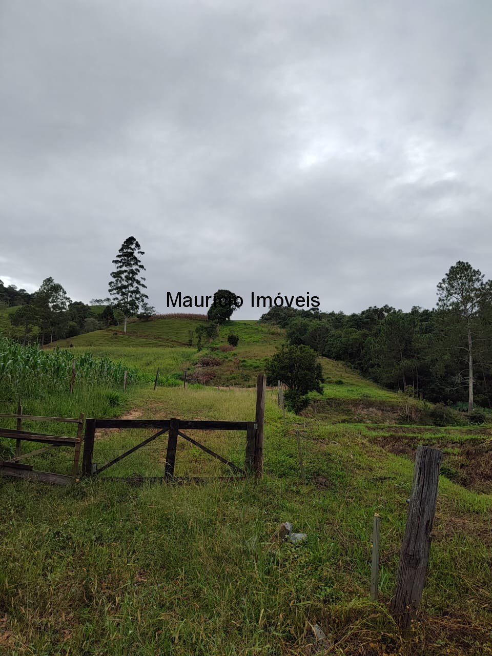 Fazenda, 5 m² - Foto 1