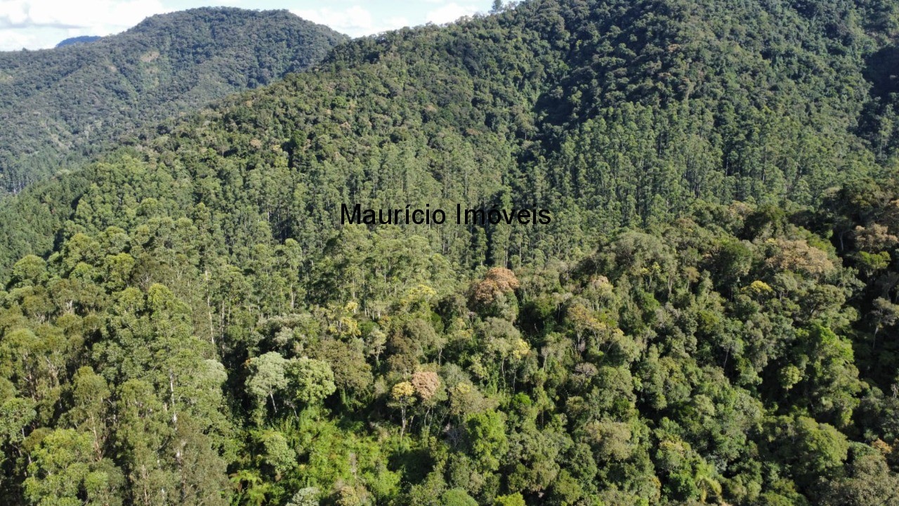 Fazenda, 250 m² - Foto 67