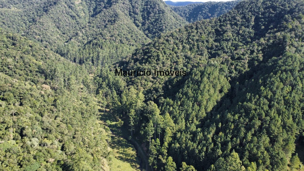 Fazenda, 250 m² - Foto 57