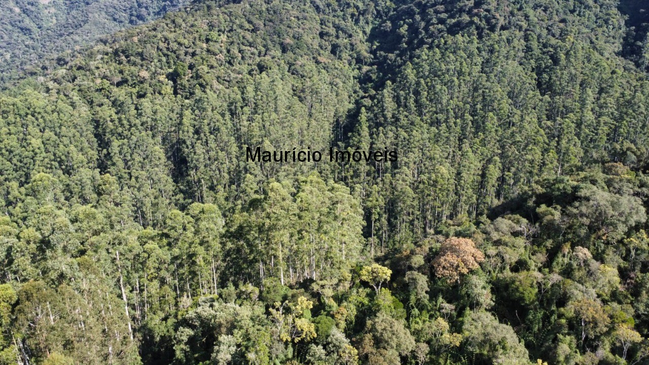 Fazenda, 250 m² - Foto 19