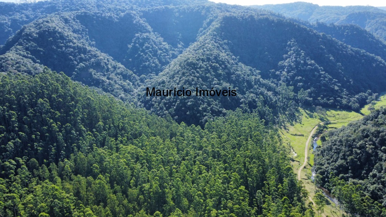 Fazenda, 250 m² - Foto 4