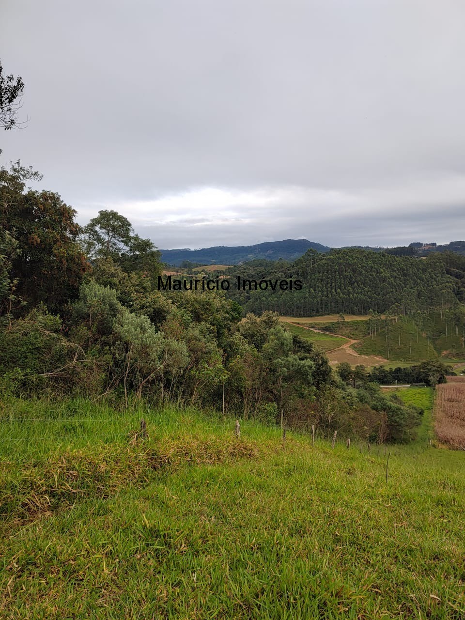 Fazenda, 5 m² - Foto 4