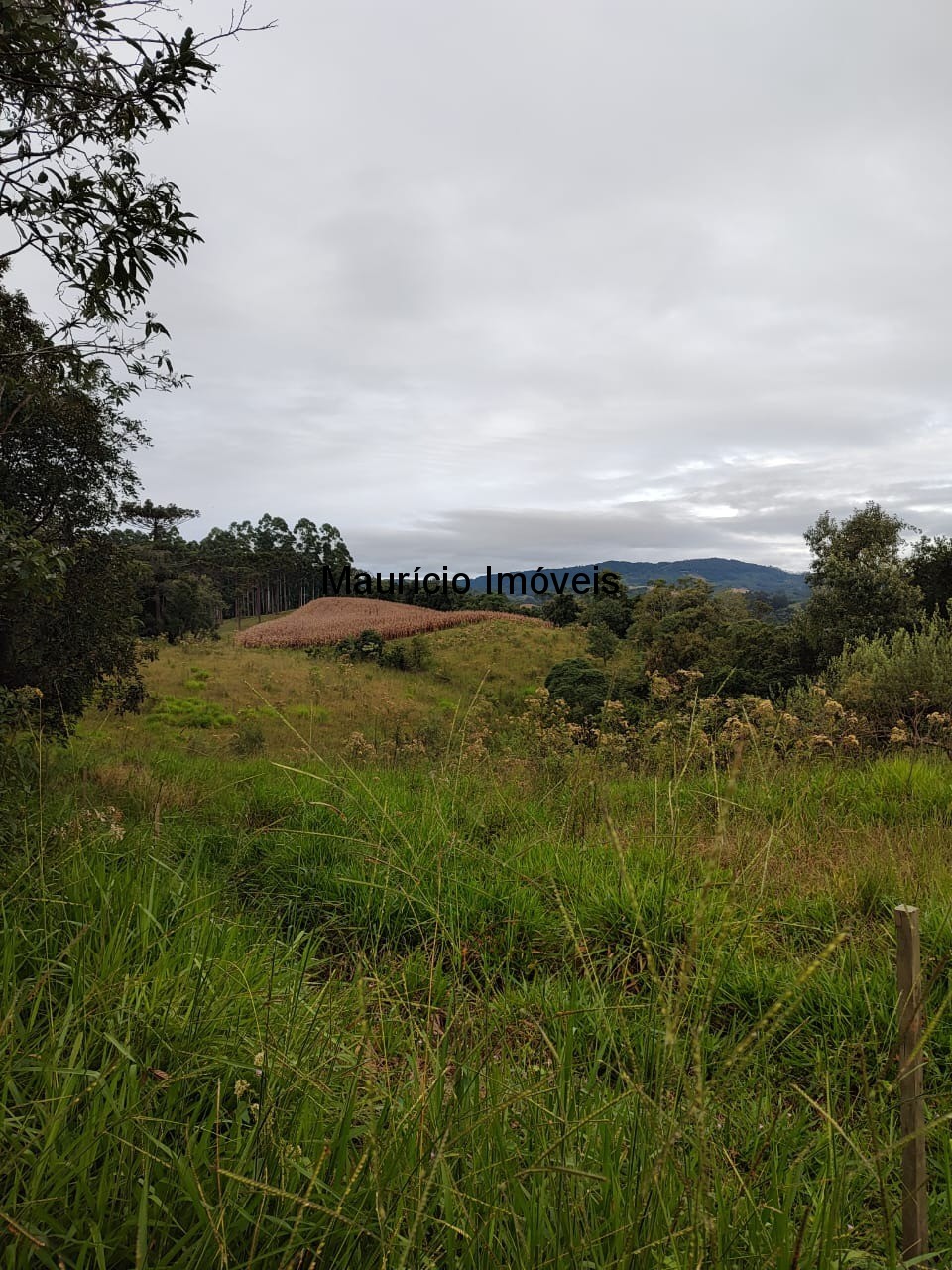 Fazenda, 5 m² - Foto 6
