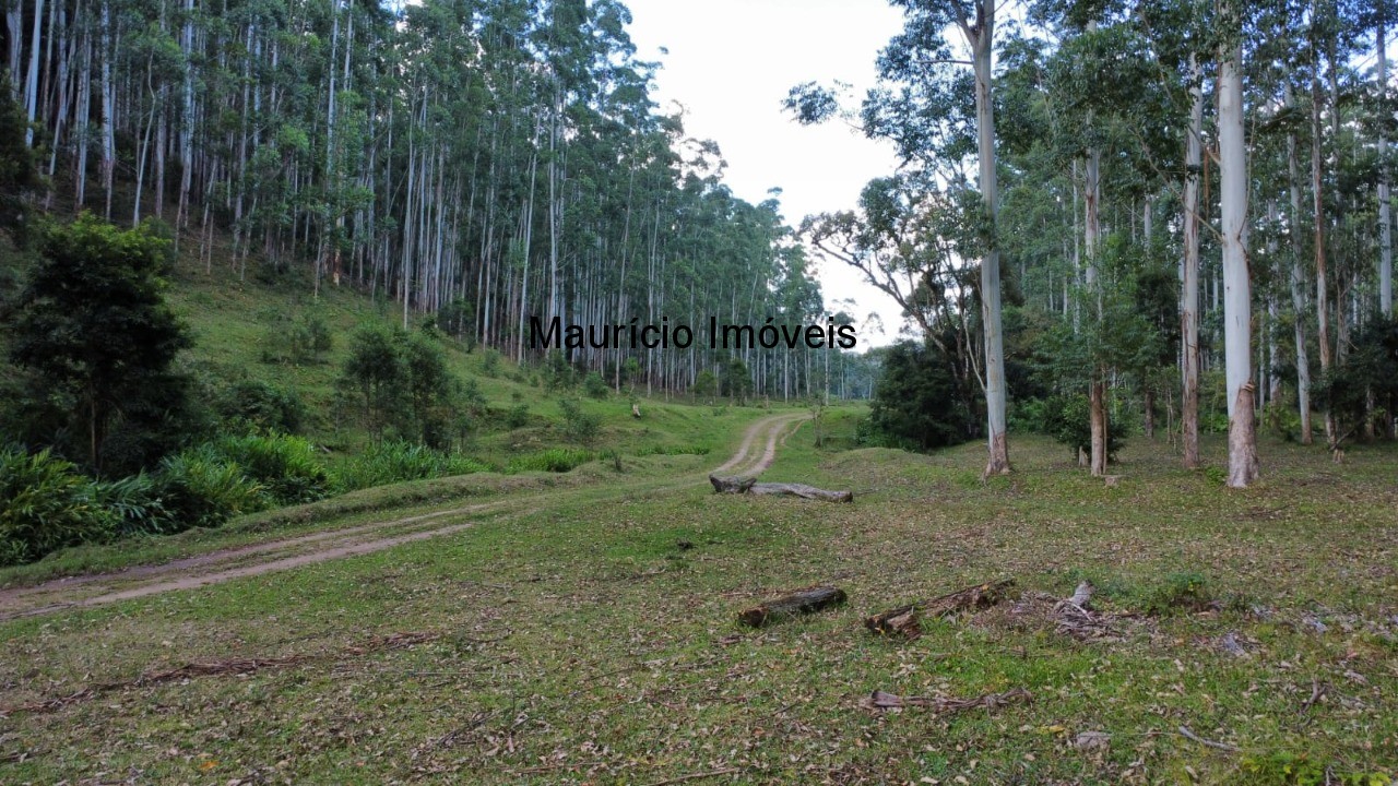 Fazenda, 250 m² - Foto 48