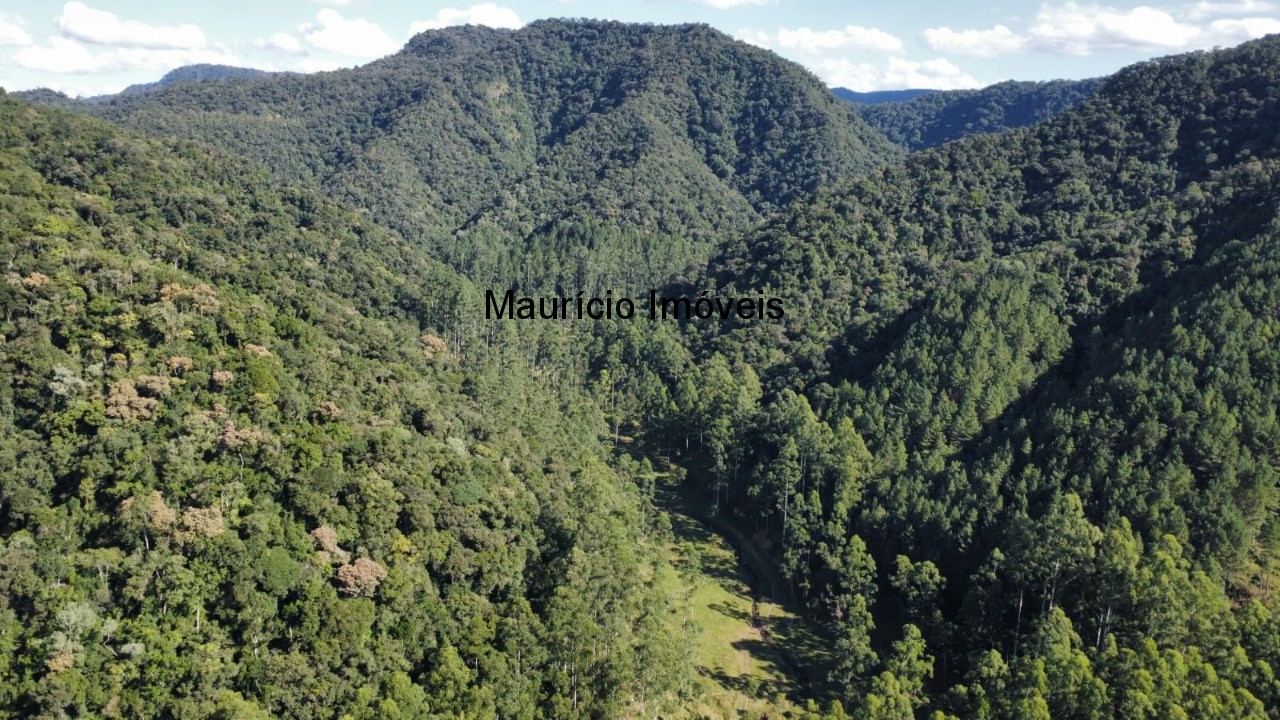 Fazenda, 250 m² - Foto 58