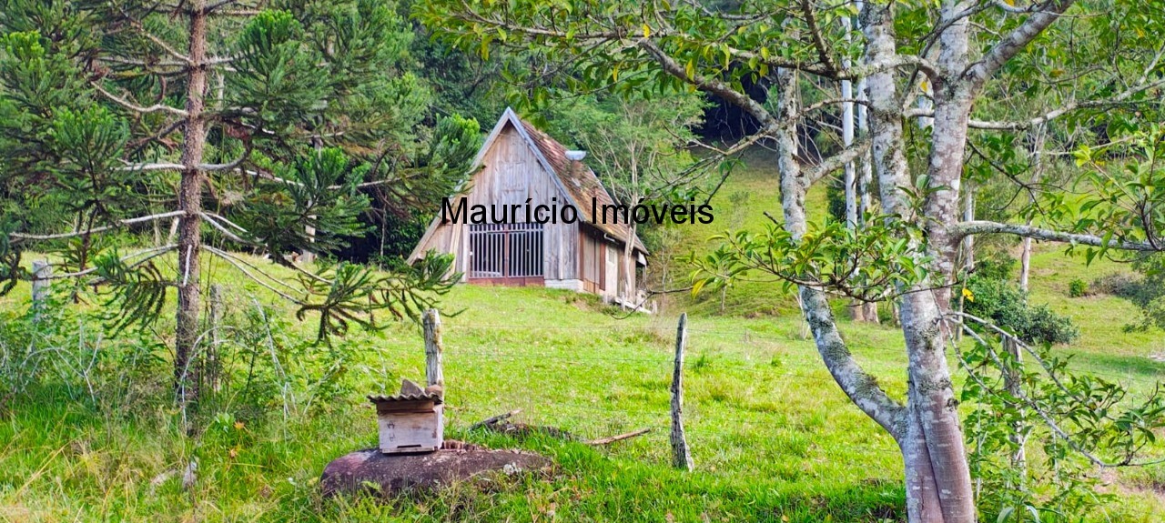 Fazenda, 250 m² - Foto 41
