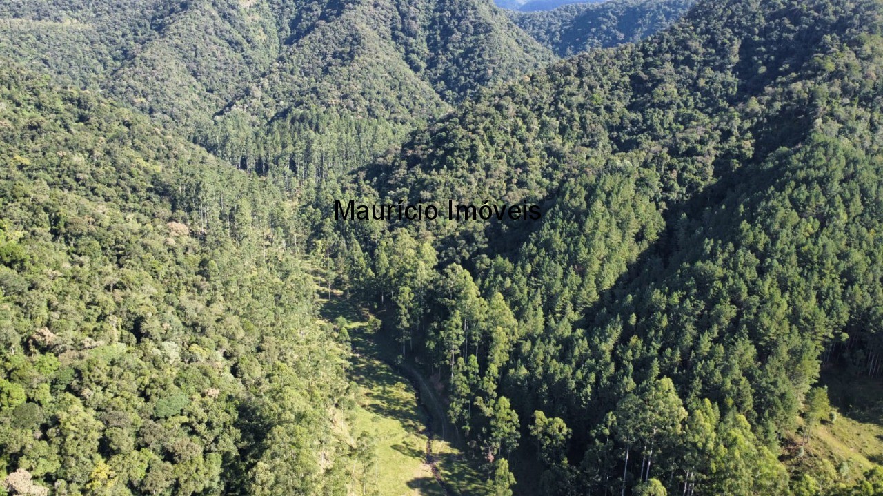 Fazenda, 250 m² - Foto 17