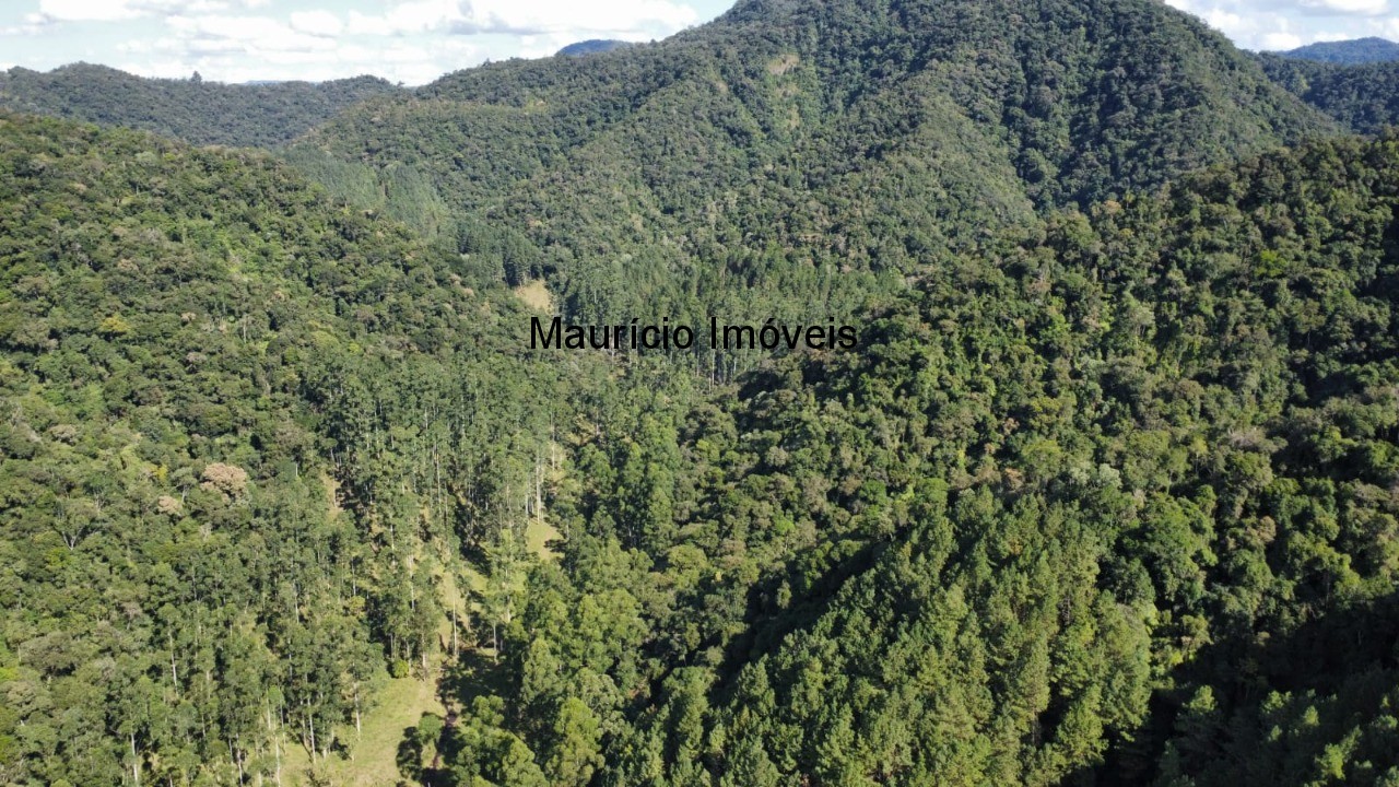 Fazenda, 250 m² - Foto 31