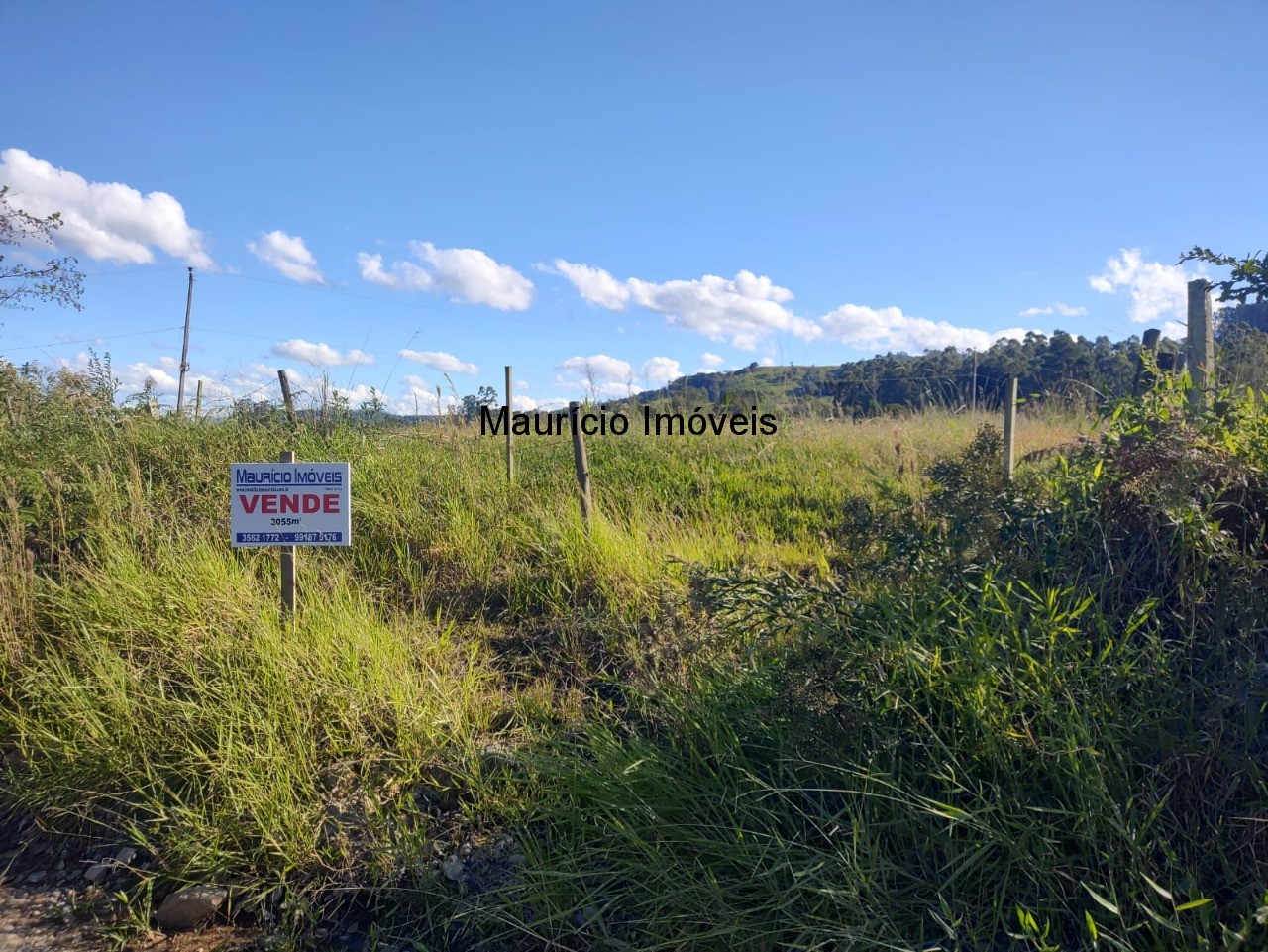 Terreno, 3055 m² - Foto 6