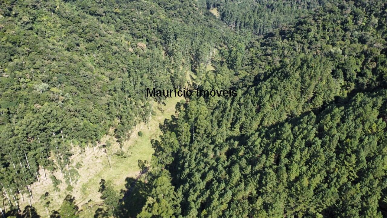 Fazenda, 250 m² - Foto 60
