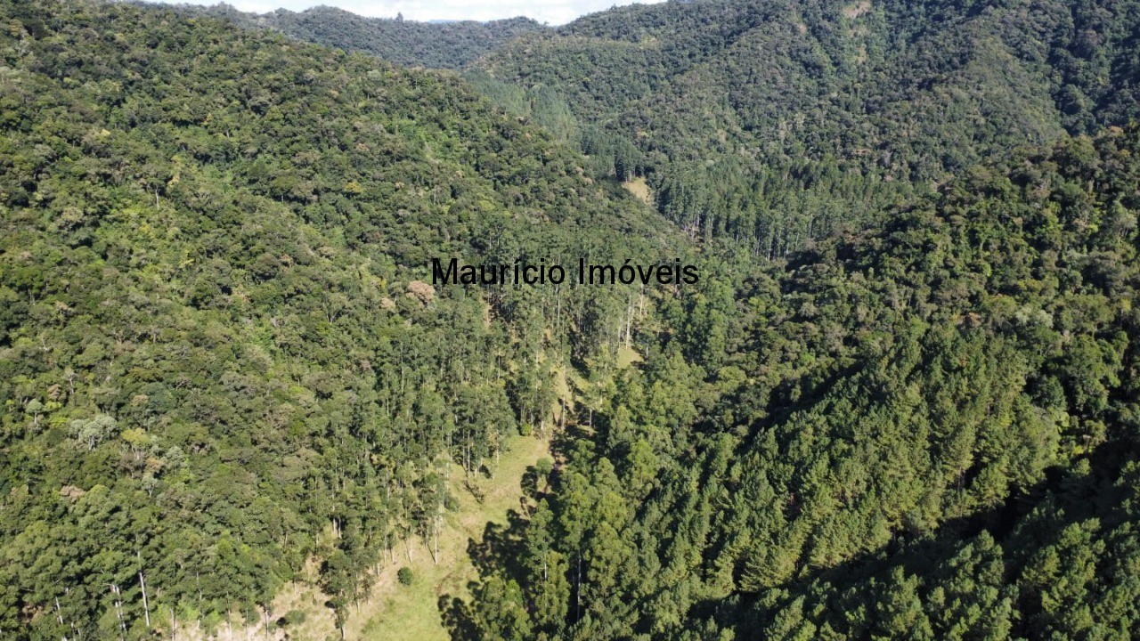 Fazenda, 250 m² - Foto 69