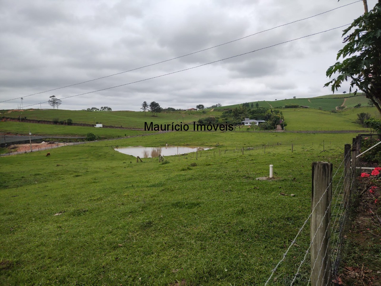 Casa, 5 quartos, 30000 m² - Foto 37