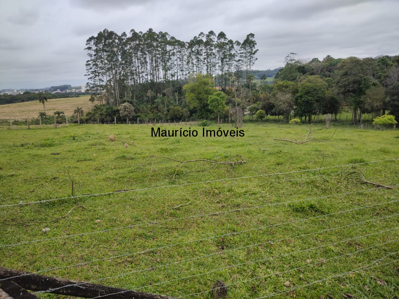 Terreno, 30000 m² - Foto 43
