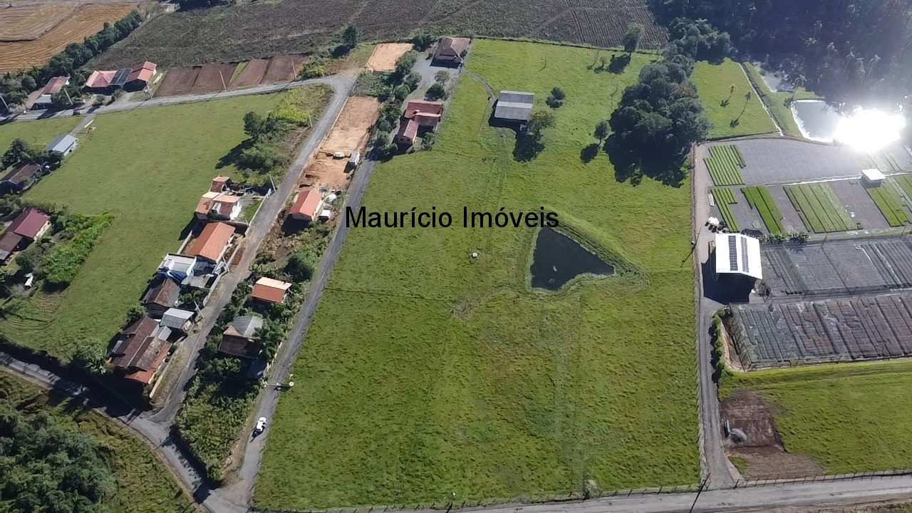 Casa, 5 quartos, 30000 m² - Foto 4