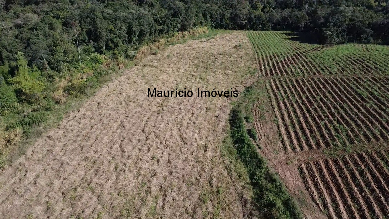 Fazenda, 3 hectares - Foto 8