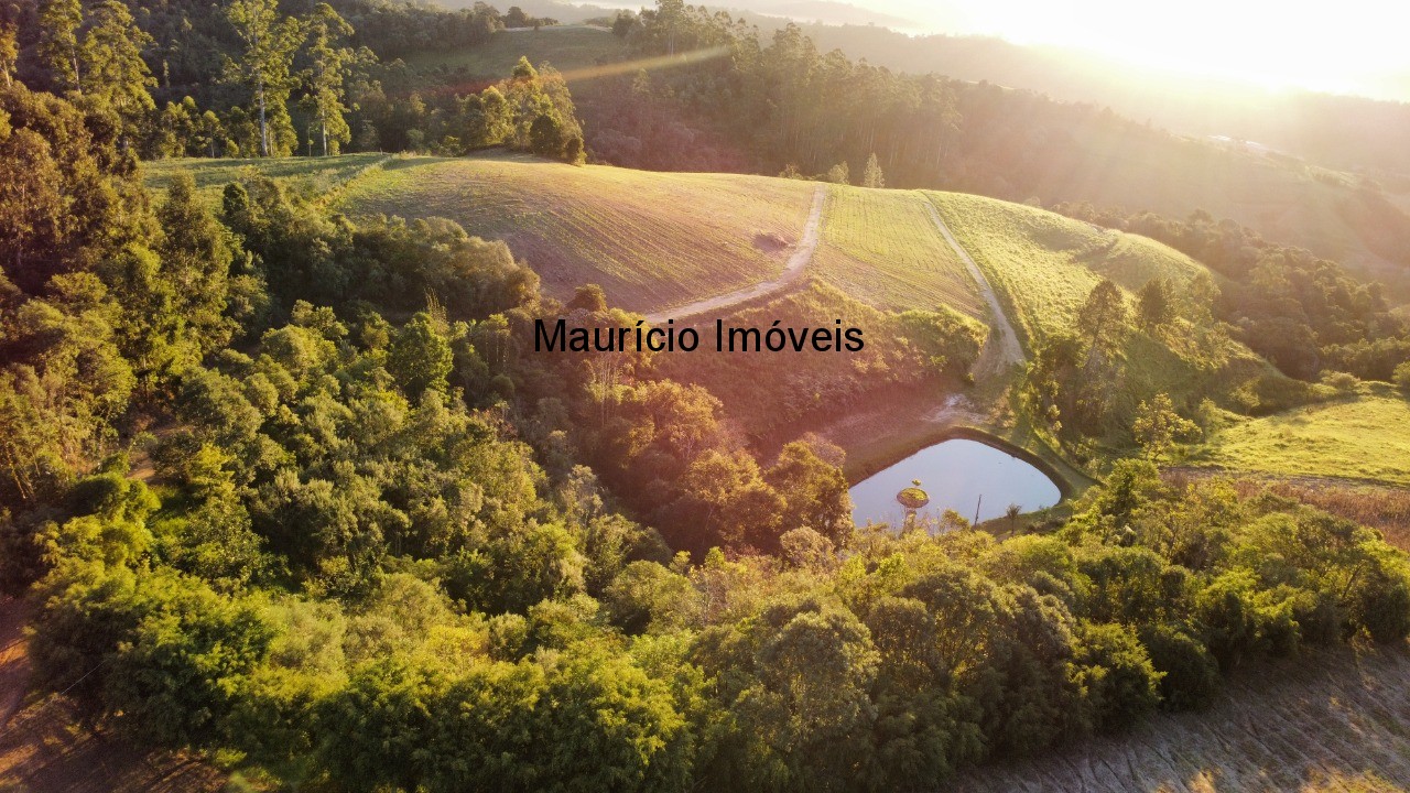 Sítio, 2 quartos, 9 m² - Foto 3