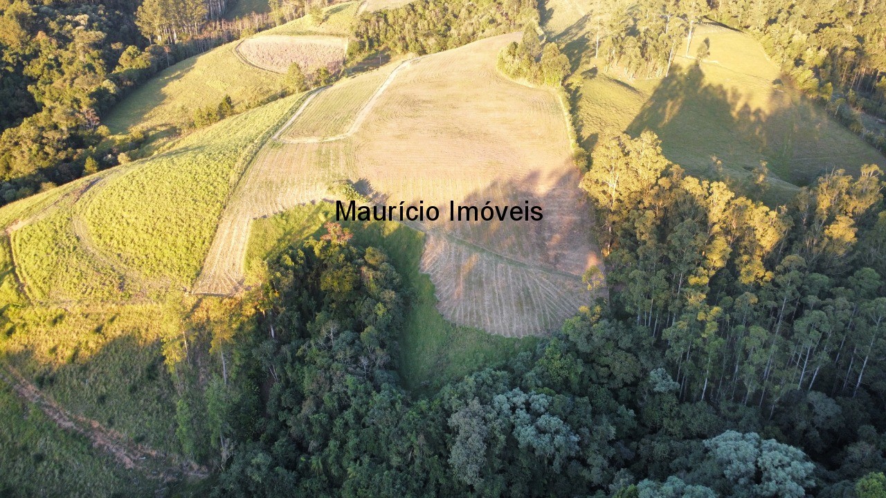 Sítio, 2 quartos, 9 m² - Foto 10