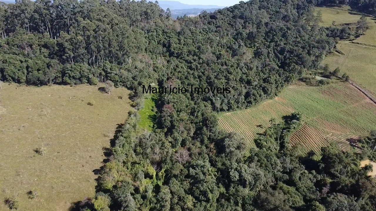 Fazenda, 3 hectares - Foto 12
