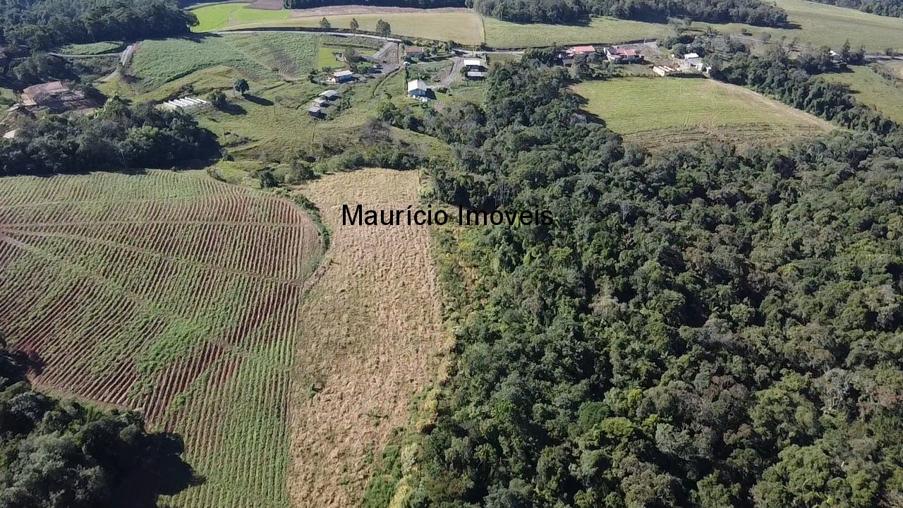 Fazenda, 3 hectares - Foto 16