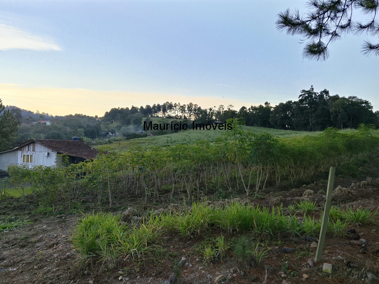 Fazenda, 3 hectares - Foto 43