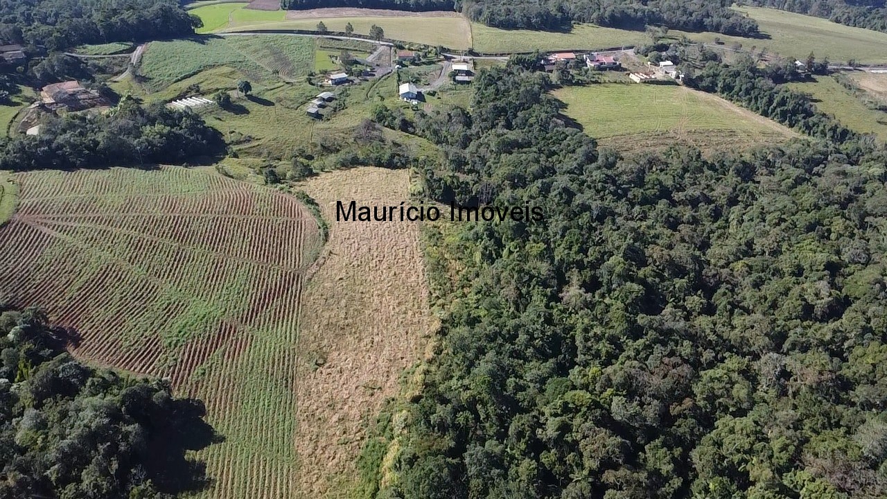 Fazenda, 3 hectares - Foto 15