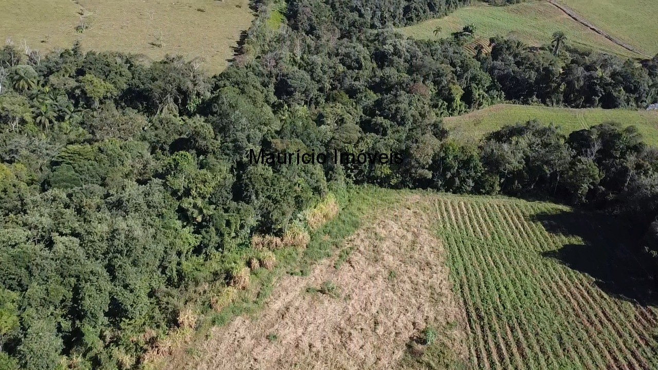 Fazenda, 3 hectares - Foto 9