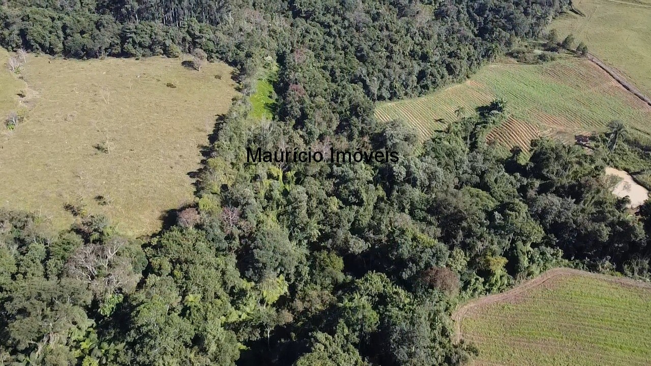 Fazenda, 3 hectares - Foto 11