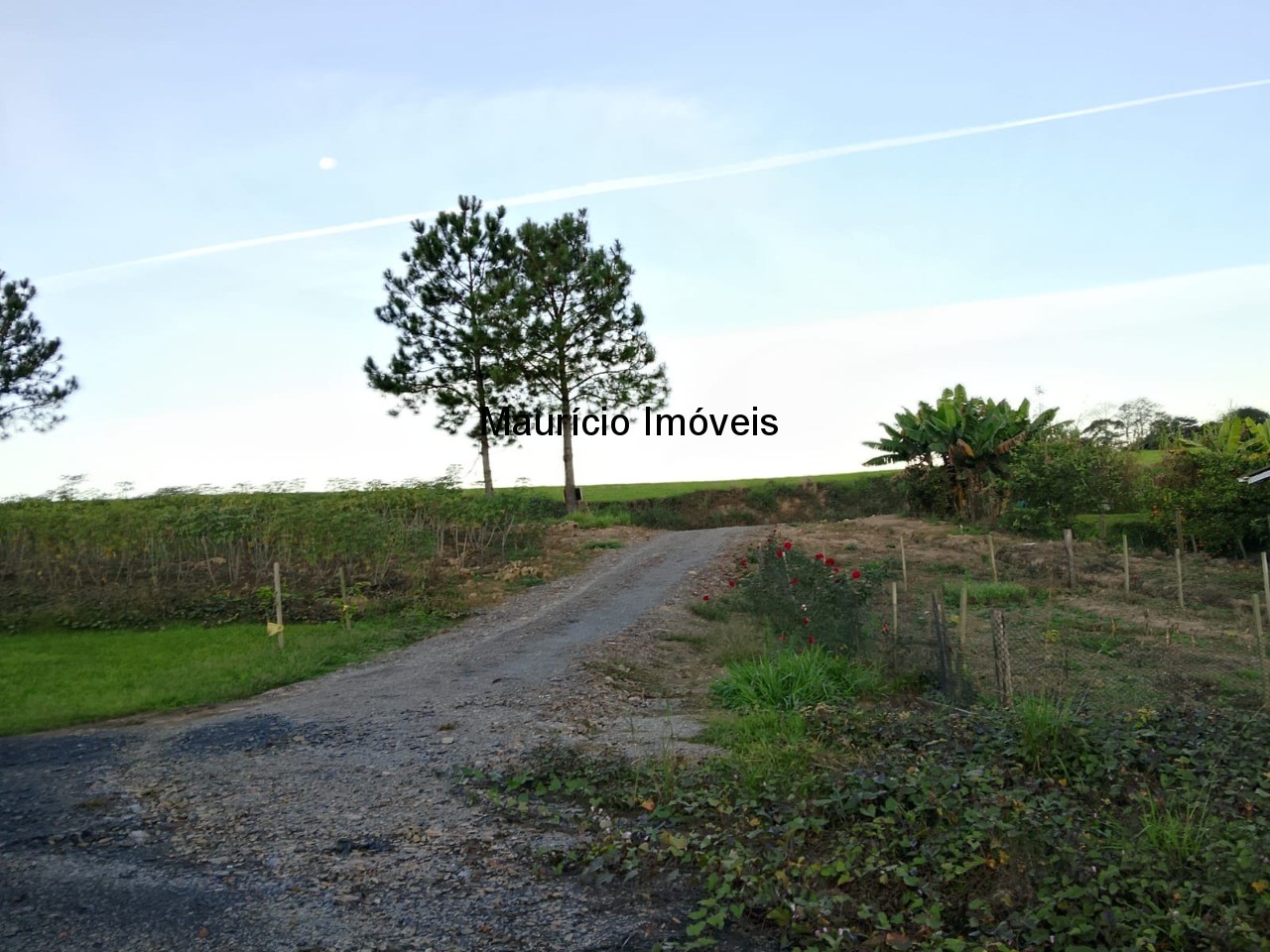 Fazenda, 3 hectares - Foto 40