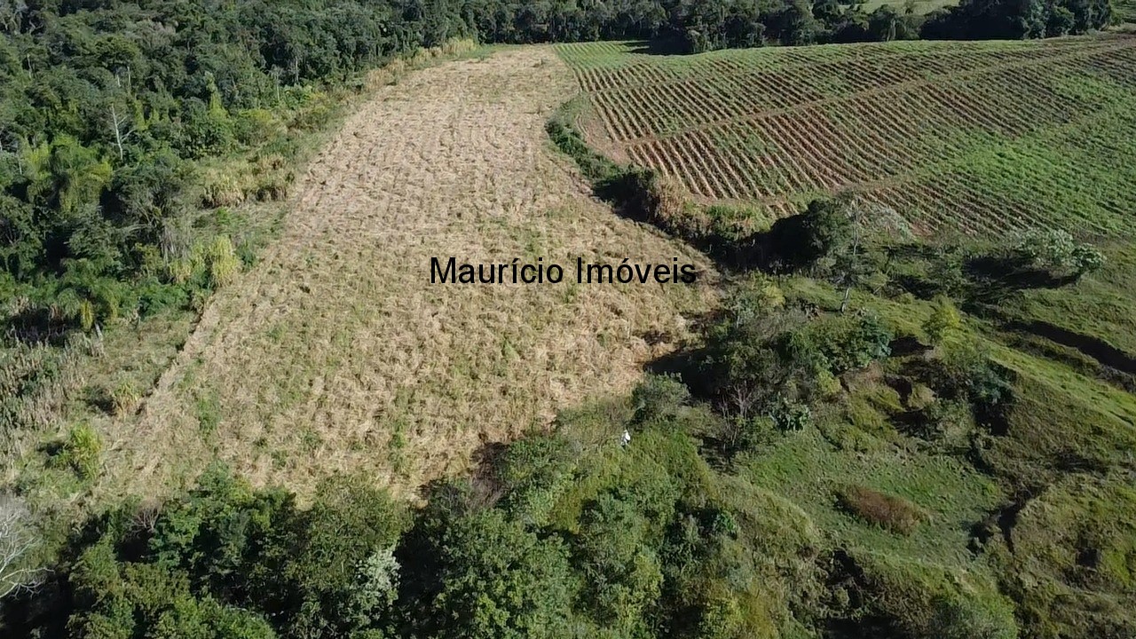 Fazenda, 3 hectares - Foto 6