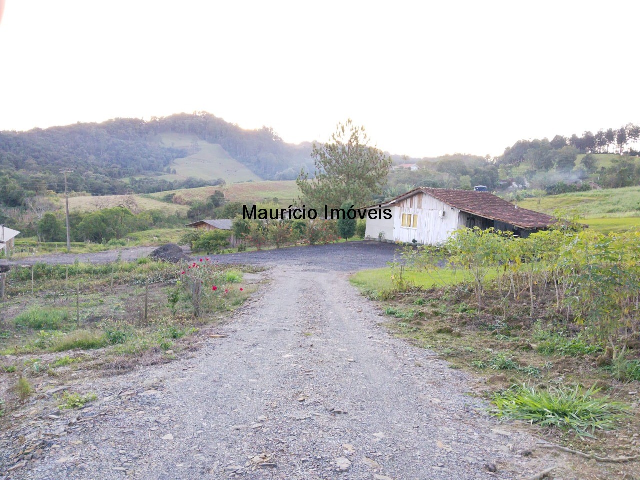 Fazenda, 3 hectares - Foto 41