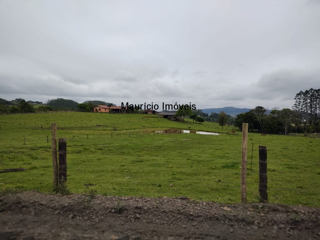 Casa, 5 quartos, 30000 m² - Foto 31