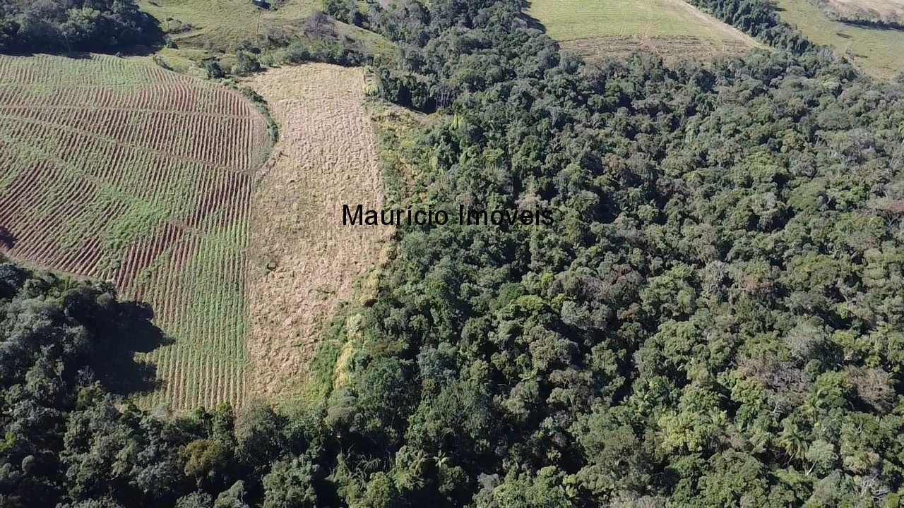 Fazenda, 3 hectares - Foto 14