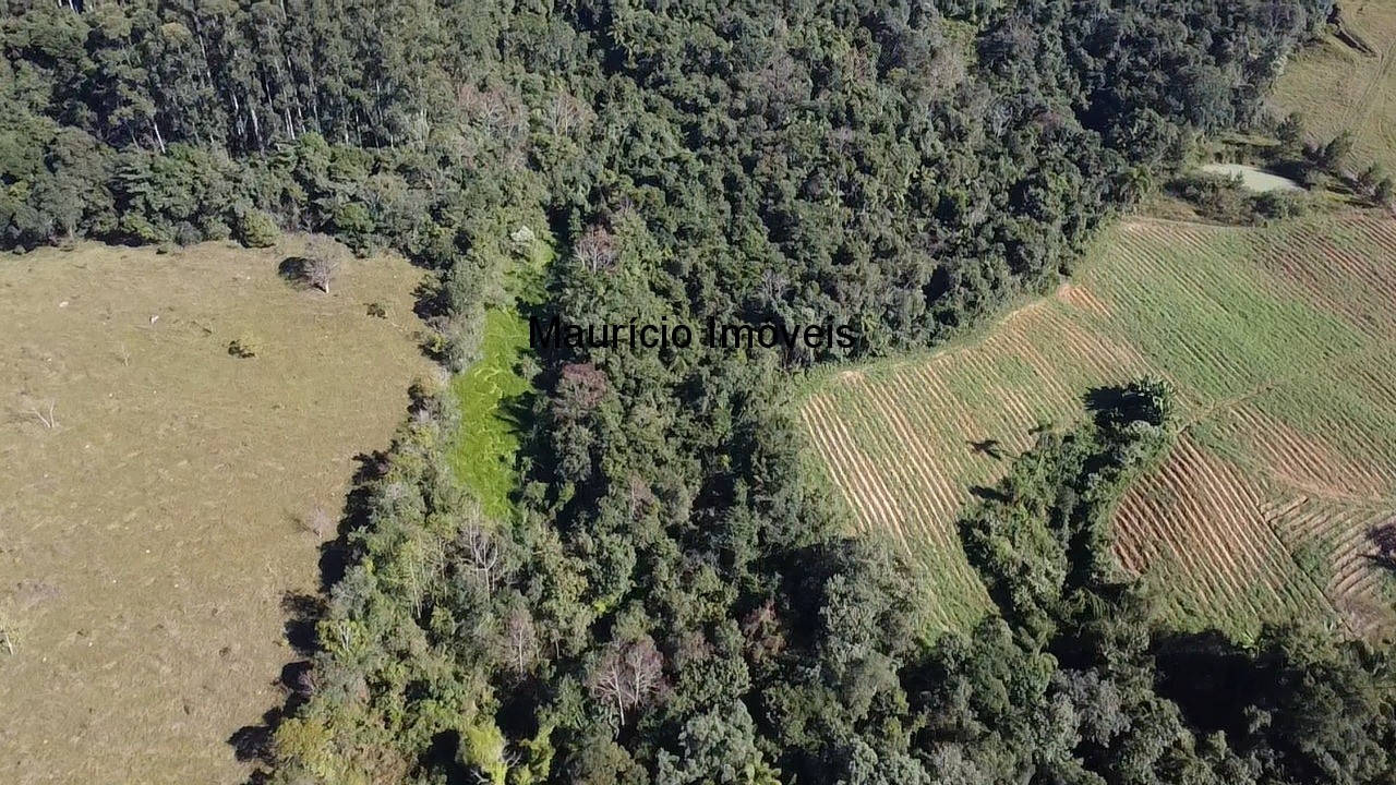 Fazenda, 3 hectares - Foto 13