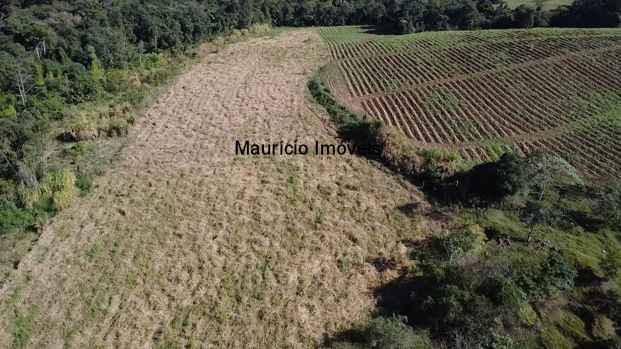 Fazenda, 3 hectares - Foto 7