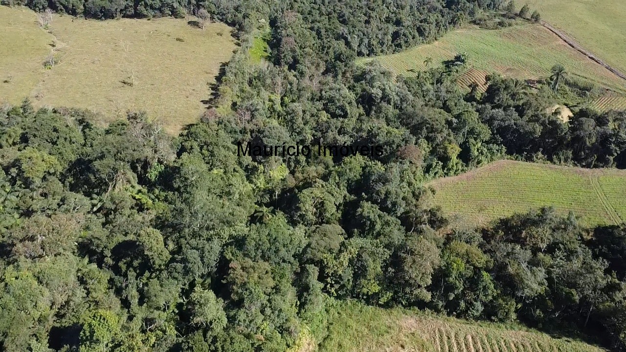 Fazenda, 3 hectares - Foto 10