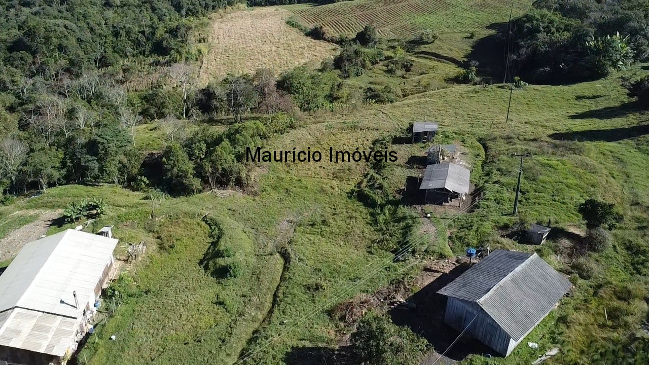Fazenda, 3 hectares - Foto 4
