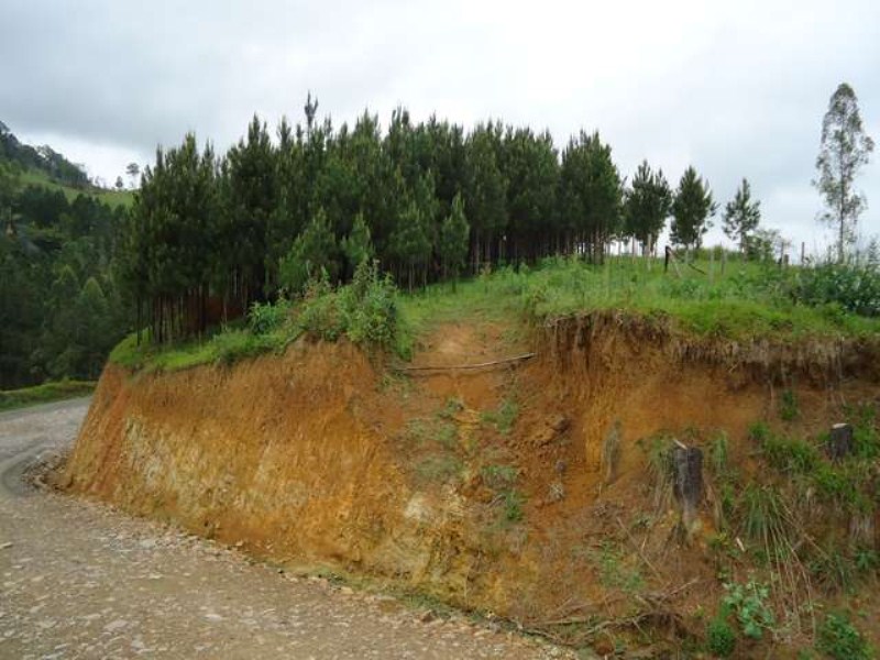 Terreno à venda, 1323m² - Foto 3