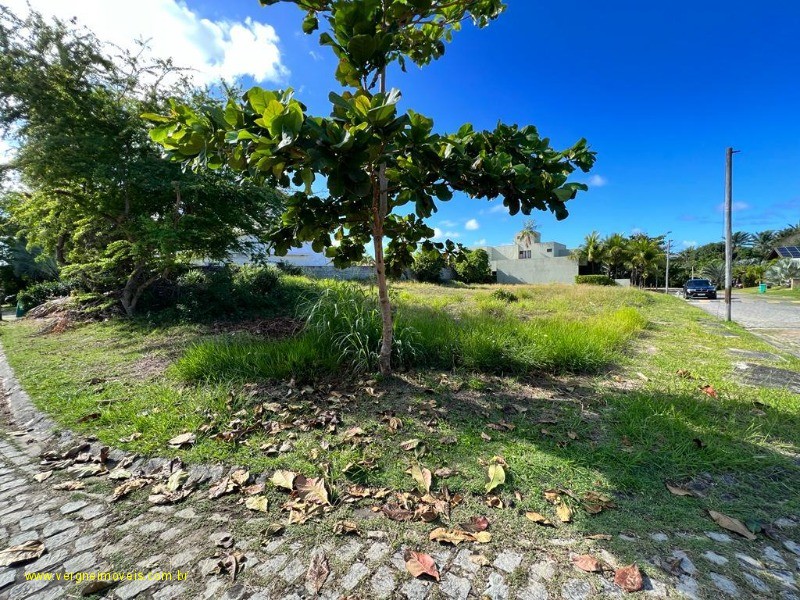 Terreno à venda, 1100m² - Foto 4